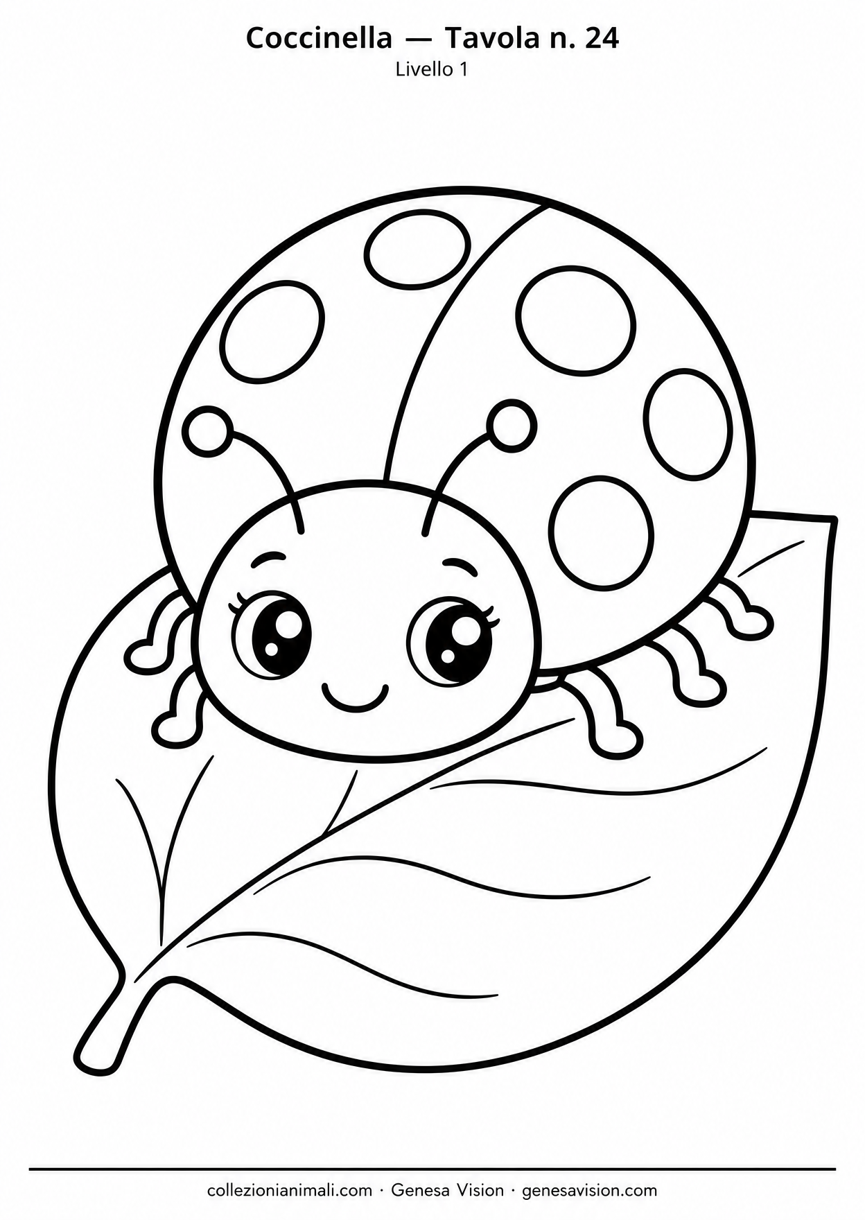 Anteprima del disegno da colorare del coccinella in formato A4