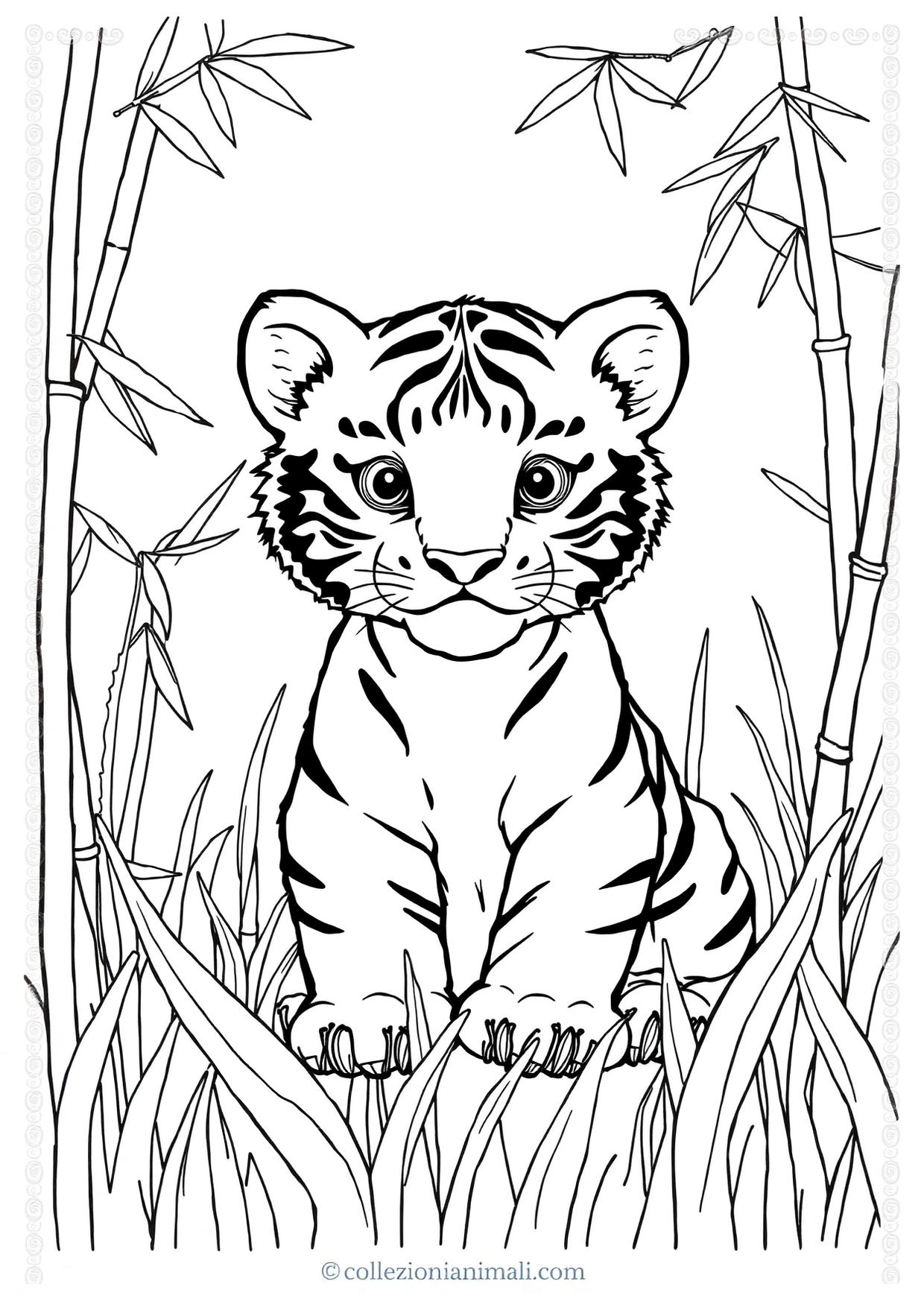 Disegno da colorare in formato A4: Tigre da colorare — livello 2
