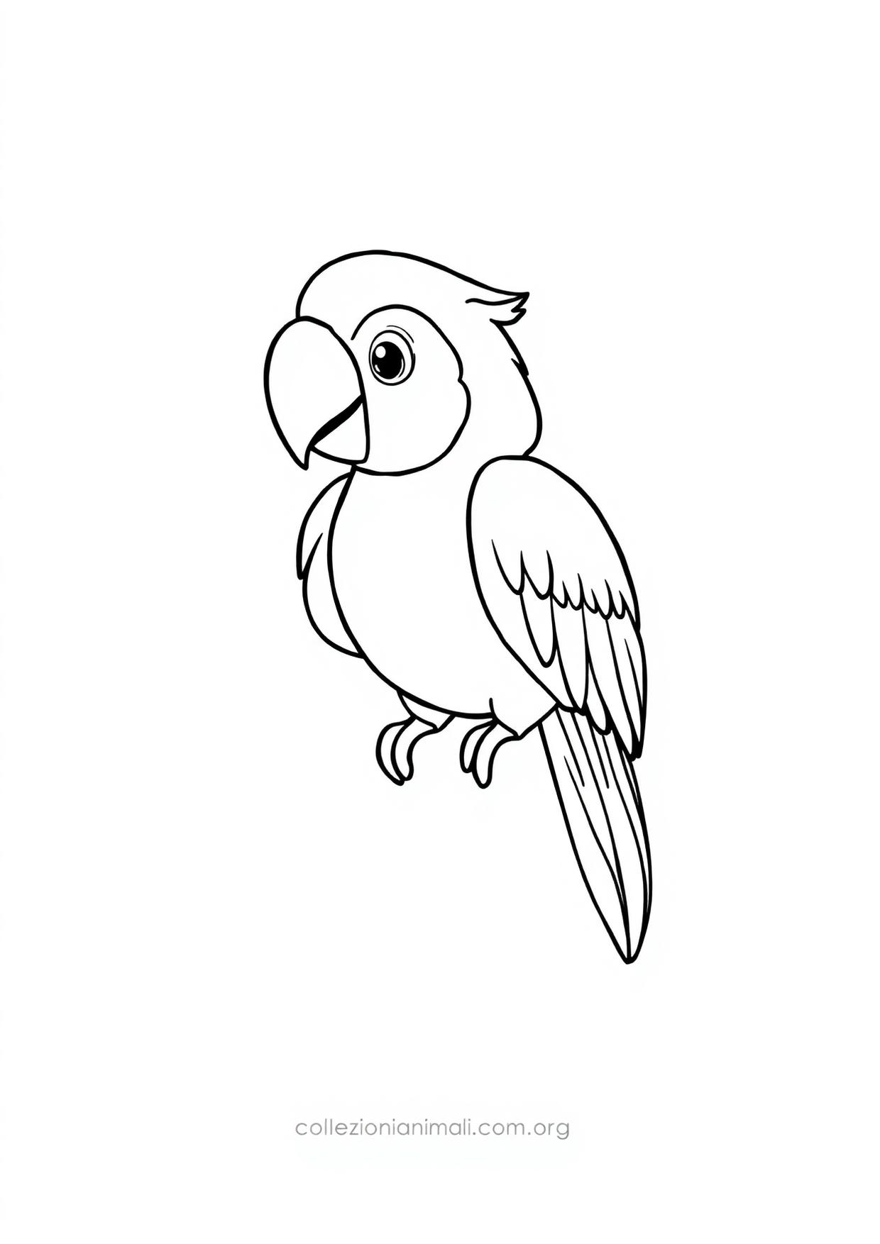 Anteprima del disegno da colorare del pappagallo ara scarlatta in formato A4